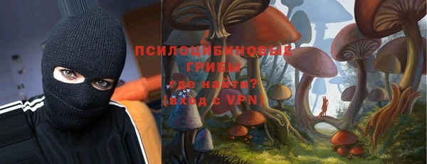 кокс Алексин