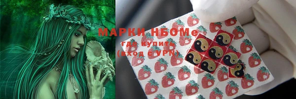 СК Михайлов