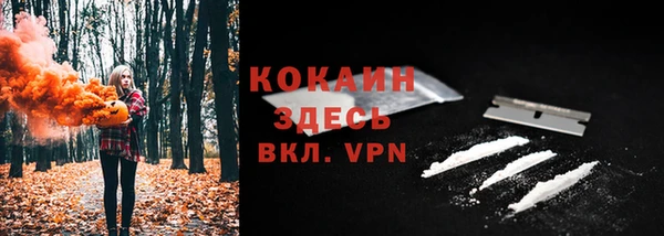 кокс Алексин