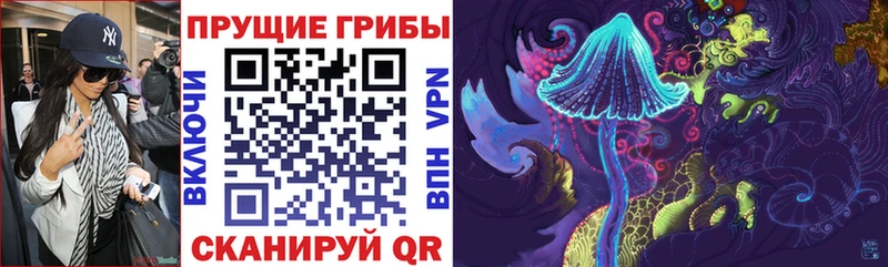 где найти   Ковров  Галлюциногенные грибы Psilocybine cubensis 